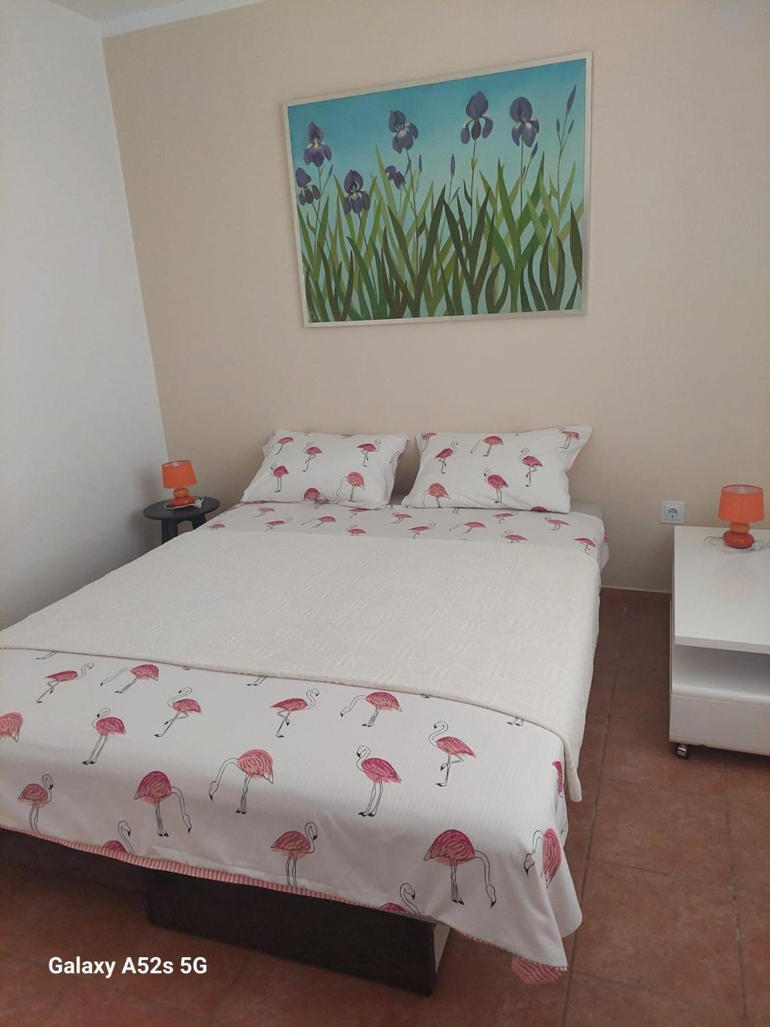Apartments Pimpinella Premantura Exterior photo